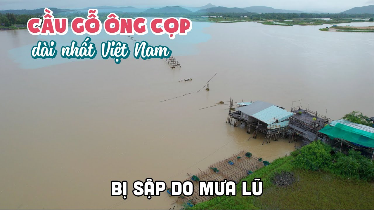 Cầu Gỗ Ông Cọp dài nhất Việt Nam tại Phú Yên bị sập do mưa lũ